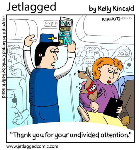 Thank you for your undivided attention. Thank You For Your Attention Funny, Plane Humor, Airline Humor, Flight Attendant Humor, Aviation Quotes, Aviation Humor, Jumbo Jet, Airport Parking, Flight Attendant Life