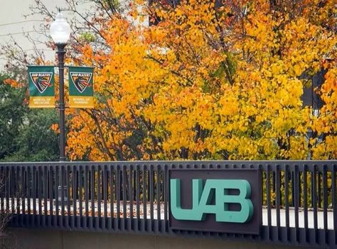 It's Fall On The University Of Alabama At Birmingham Campus In Beautiful Downtown Birmingham, AL USA Alabama Birmingham, University Of Alabama At Birmingham, Uab Blazers, College Acceptance, University Of Birmingham, The University Of Alabama, Scavenger Hunts, Magic City, 2023 Vision