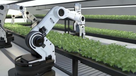 Smart robotic farmers concept, robot farmers, Agriculture technology, Farm automation Agriculture Technology, Smart Farm, Free Stock Video, Agriculture, Stock Video, Stock Footage, Farmer, For Free, Technology