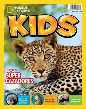 Koala Bears, Strange Facts, National Geographic Kids, 90s Childhood, Jet Setter, 90s Kids, Reading Skills, Family Games, Arts And Crafts For Kids