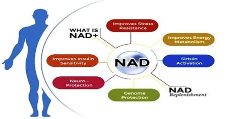 Nicotinamide adenine dinucleotide (NAD) has gained attention among medical professionals and researchers due to its vital role in cellular metabolism and overall health. For those looking to enhance their overall wellness, understanding the benefits of NAD may be the key. By taking a look at a resource like www.nad.com, you can get comprehensive information on […] The post Understanding The Benefits Of NAD appeared first on Lemony Blog. Iv Vitamin Therapy, Neurological System, Ozone Therapy, Hyperbaric Oxygen Therapy, Iv Infusion, Dna Repair, Iv Therapy, Improve Brain Function, Improve Energy