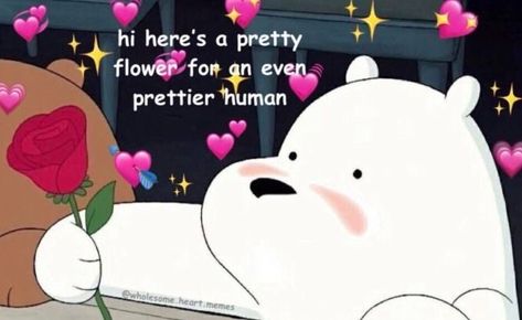 Flirty Memes, Wholesome Pictures, Super Funny Memes, Cute Love Memes, Crush Memes, Ice Bears, Reaction Memes, Cute Messages, We Bare Bears