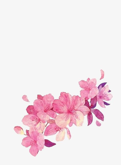 Art Refence, Color Overlay, Flower Png Images, Botanical Painting, Instagram Frame, Digital Flowers, Chinese Painting, Flower Backgrounds, Png Transparent