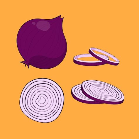 Vector fresh onion half cut onion vector... | Premium Vector #Freepik #vector Motif Development, Freepik Illustration, Onion Drawing, Onion Ring, Roasted Onions, Pinterest Design, French Onion Soup, Onion Rings, Vector Illustrations