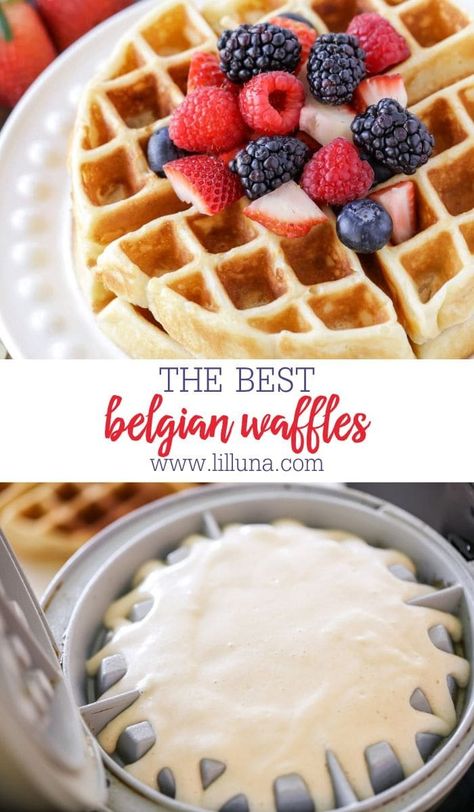 Crisp, fluffy Belgian waffles are an easy way to start your day with a smile. They will be your go-to homemade waffles - I promise! #belgianwaffles #waffles #crispywaffles #fluffywaffles #belgianwafflerecipe Belgian Waffle Mix Recipe, Belgian Waffle Toppings, Crispy Belgian Waffle Recipe, Waffle Recipe No Butter, Belgian Waffles Toppings, Belgium Waffle Recipe, Easy Belgian Waffle Recipe, Best Belgian Waffle Recipe, Waffle Mix Recipes