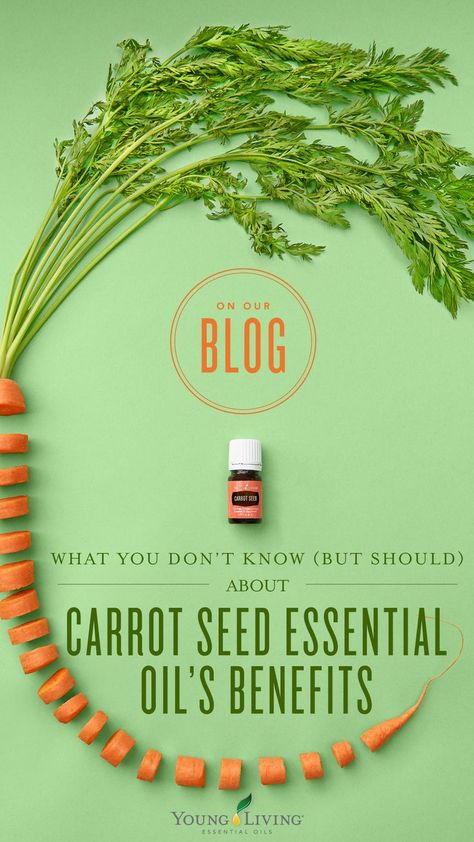 Carrot Seed Oil Benefits, Carrot Seed Essential Oil, Natural Oils For Skin, Essential Oil Education, Essential Oils Young Living, Mist Diffuser, Yl Oils, Carrot Seed Oil, Yl Essential Oils