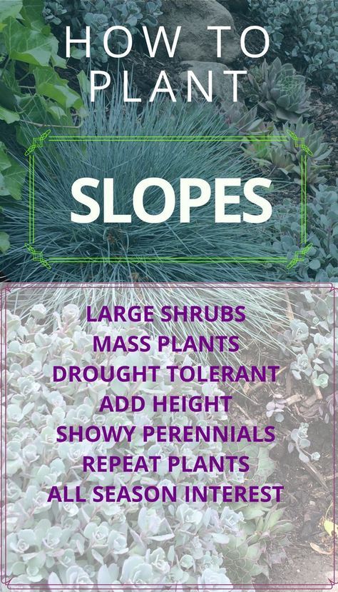 Sloped Backyard Landscaping, Landscaping A Slope, Landscaping On A Hill, Sloped Yard, Hillside Garden, Sloped Backyard, Hillside Landscaping, Sloped Garden, Low Maintenance Landscaping