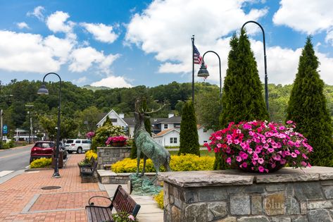 Banner Elk NC Travel Guide Banner Elk North Carolina, Nc Travel, Alpine Coaster, Beech Mountain, Grandfather Mountain, Banner Elk, Pisgah National Forest, Boone Nc, Land Of Oz