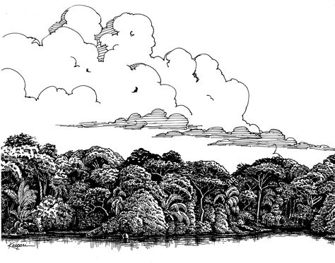 Limited Edition Landscape Print of Original Pen and Ink Drawing of An Elm Tree. Description from pinterest.com. I searched for this on bing.com/images Ink Clouds, Drawing Scenery, Cloud Illustration, Soft Pastels Drawing, Cloud Drawing, Drawing Projects, Landscape Drawings, Pen Art, Realistic Drawings