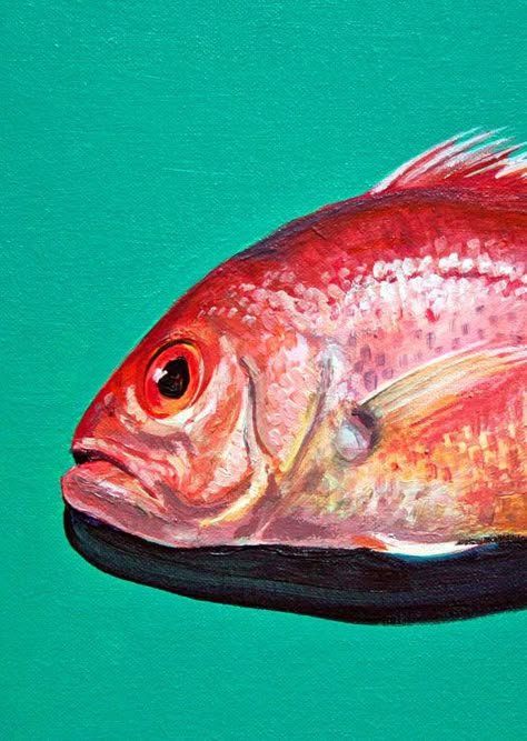 Art Sketchbook Backgrounds, Red Snapper Fish, Backgrounds Simple, Marine Life Art, Snapper Fish, Aquatic Art, Colourful Fish, Gcse Art Sketchbook, Sea Life Art