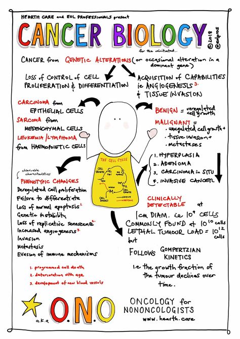 Oncology Medications, Chemo Nursing, Nurse Advice, Acidity Remedies, Learning Biology, Pathophysiology Nursing, Nursing Flashcards, Np School, Nurse Teaching