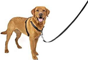 PetSafe 3 in 1 No-Pull Dog Harness - Walk, Train or Travel - Helps Prevent Pets from Pulling on Walks - Seatbelt Loop Doubles as Quick Access Handle - Reflective Accents - Large, Black Reflective Dog Harness, Car Rides, Holiday Store, Tristan Da Cunha, Short Legs, Car Ride, Strap Tops, Dog Harness, Papua New Guinea