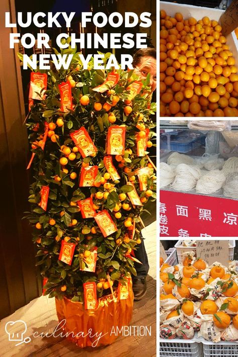 a lucky mandarine tree Traditional Chinese New Year Dishes, Chines New Year, Chinese New Year Dishes, Red Decorations, Lucky Food, Bring Good Luck, New Year's Food, Chinese New Year Decorations, Red Decor