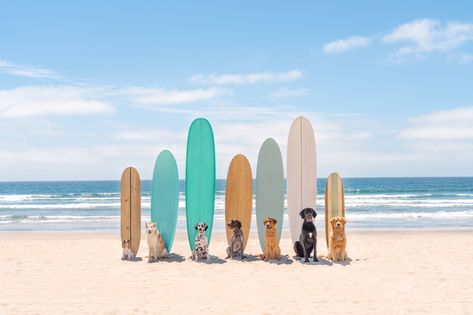 Gray Malin Grey Malin, Gray Malin Photography, Ocean Beach San Diego, Hamptons Art, Hotel Del Coronado, Gray Malin, Adventure Lifestyle, Collections Photography, Coastal Blue