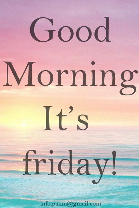 it's friday Saturday Shenanigans, Tgif Quotes, Happy Friday Dance, Friday Funnies, Friday Morning Quotes, Hello Thursday, Friday Dance, Week Quotes, Monday (quotes)