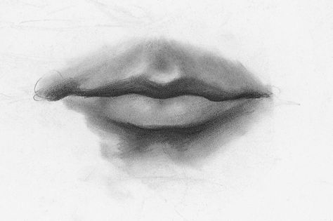 Drawing Lips, Male, Demo, Step 3 | Lee Hammond | How to Draw Facial Features for Beginners | Artists Network Male Lips Sketch, How To Draw Lips Male, Male Lips Drawing, Drawing Starters, Blending Drawing, Drawing Structure, Male Lips, Draw Facial Features, Drawing Mouths