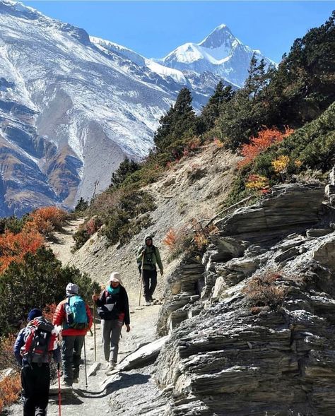 Tilicho Lake, Mountain Painting Acrylic, Himalayas Nepal, Nepal Culture, Annapurna Circuit, Lake Photos, Green Hills, Mountain Photography, Mountain Paintings