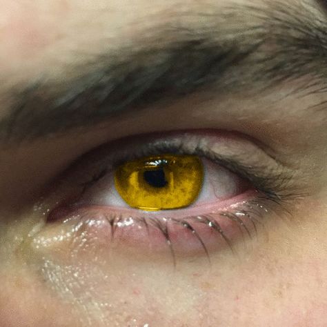 gold eyes // yellow eyes // isaac lahey // teen wolf // werewolf Werewolf Eyes, Teen Wolf Werewolf, Wolf Eyes, Golden Eyes, Yellow Eyes, Gold Eyes, Eye Color, Teen Wolf, Gold