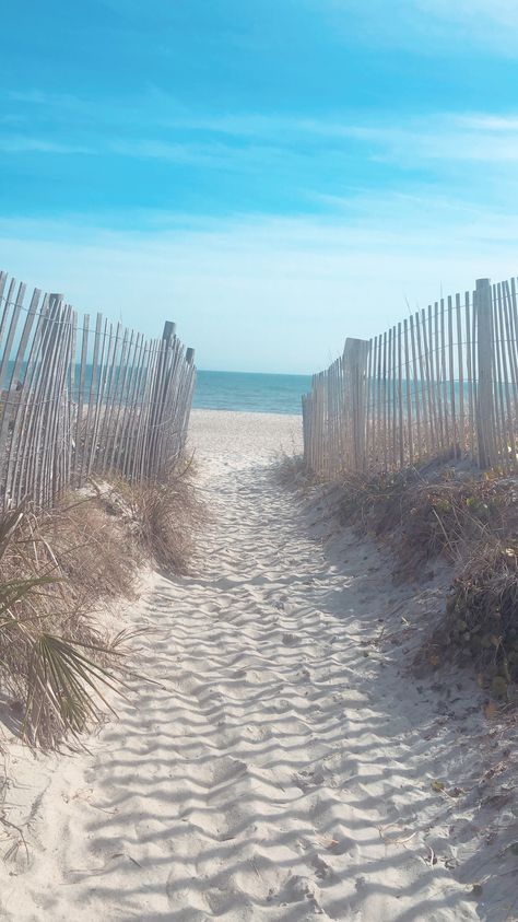 Family Oriented Aesthetic, Wilmington North Carolina Beach, North Carolina Beach House, Beach Pathway, Haunted Town, Wilmington Beach, Haunted Towns, Obx Nc, Carolina Beach Nc