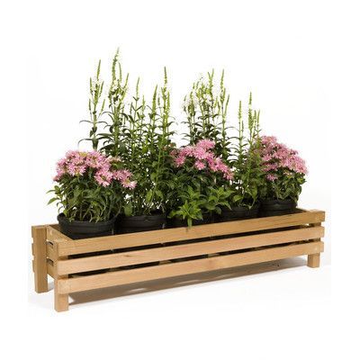 Front Of House Plants, Rectangular Planter Box, Cedar Planter Box, Raised Planter Boxes, Cedar Planters, Garden Planter Boxes, Wooden Planter, Eco Friendly Garden, Wood Planter