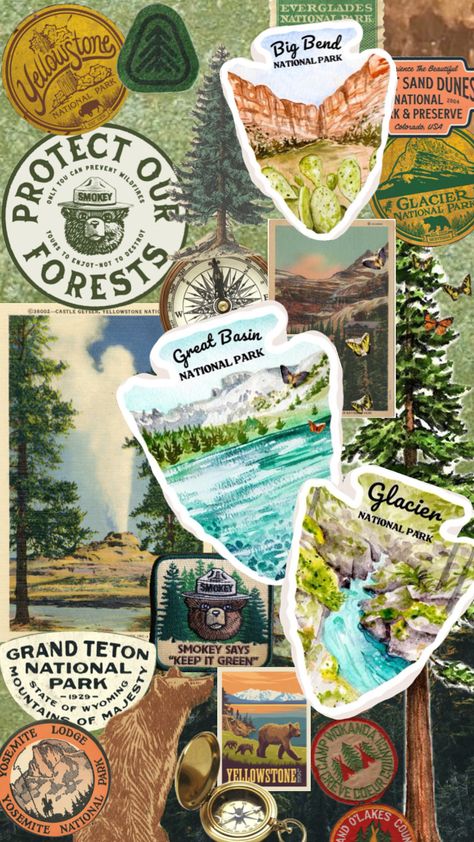 #nationalparks National Parks Aesthetic, National Park Bucket List, Parks Aesthetic, Great Basin National Park, Nature Vibes, Great Basin, Glacier National Park Montana, Everglades National Park, Big Bend National Park