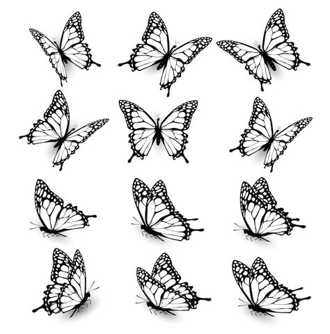 Flying Monarch Butterfly Tattoo, Butterfly Drawing Different Angles, Side Flying Butterfly Tattoo, Butterfly Wings Tattoo Design, Seven Butterflies Tattoo, Butterflie Tattoo Design, Butterfly Monarch Drawing, Swallowtail Butterfly Outline, Butterflies In Different Angles