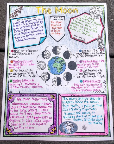 Visual Note Taking, Doodle, and Sketch Note Strategies to Incorporate into Your Classroom - Samson's Shoppe Note Strategies, Note Taking Strategies, Visual Note Taking, Sketch Note, Doodle Notes, 6th Grade Science, Fina Ord, Nonfiction Reading, Science Notes