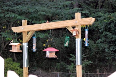 Introducing an ingenious squirrel-proof bird feeder. Bird Feeder Hangers, Bird Feeder Station, Bird Feeder Stands, Backyard Birds Sanctuary, Backyard Birds Feeders, Bird Feeder Poles, Squirrel Proof Bird Feeders, Bird Feeding Station, Bird House Kits