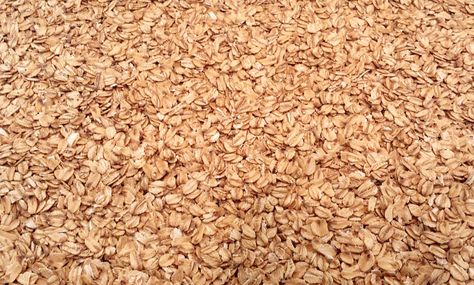 Toasting Oats Guide - Five Blades Brewing Toasted Oats Recipe, Roasted Oats, Toasted Oats, Homebrew Recipes, How To Roast, Oats Recipe, Oats Recipes, Home Brewing, Oats