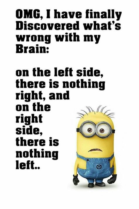 Hilarious Quotes Sarcastic Humor, Brain Funny, Minion Humour, Minion Meme, Minion Memes, Funny Minion Pictures, Funny Minion Memes, Poster Quotes, Minion Pictures