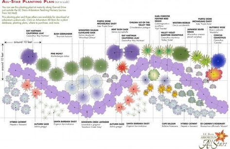 Planting Design Plan, Evergreen Landscape Front Yard, Planting Layout, Colorado Landscaping, Digital Garden, Front Landscape, Landscape Design Drawings, Uc Davis, Hillside Landscaping