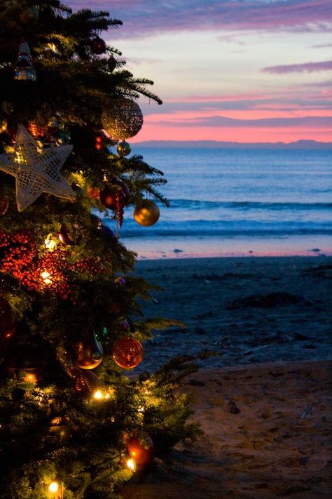 beachy christmas 3 by small-flaming-cjer on DeviantArt Christmas Lights Wallpaper Backgrounds, Christmas Lights Wallpaper Iphone, Lights Wallpaper Iphone, Christmas Lights Background, Christmas Lights Wallpaper, Lights Wallpaper, Hawaii Christmas, California Christmas, Christmas In Australia