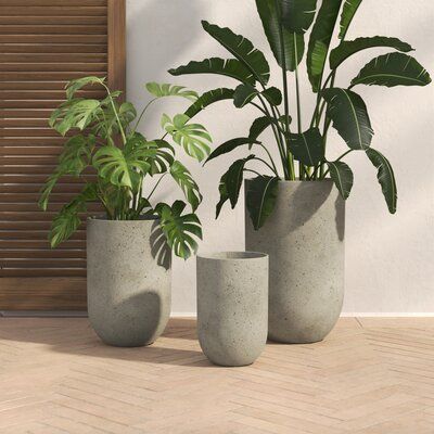 Our new concrete lite planters are real lightweights. Simple to lift, move, and simple to enjoy. Size: 26.5" H x 17" W x 17" D | Joss & Main Mariah 3-Piece Clay Pot Planter Set Concrete in Brown, Size 26.5 H x 17.0 W x 17.0 D in | Wayfair Desert Home Exterior, Concrete Plant Pots, Pots Set, Potted Plants Outdoor, Cement Planters, Concrete Pots, Clay Pot, Plastic Pots, Pot Sets