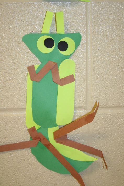 Praying mantis Praying Mantis Craft, Insects Craft, Praying Mantis Life Cycle, Swamp Art, Insects Kindergarten, Rainforest Crafts, Insect Study, Insect Unit, Insects Preschool