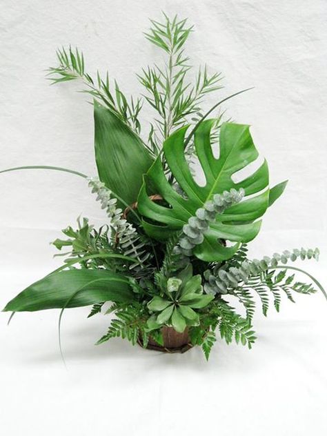 Simple is sometimes the best way to go. Tropical Greenery Arrangements, Foliage Arrangements Leaves, Tropical Foliage Arrangements, Arreglos Ikebana, Foliage Arrangements, Tropical Floral Arrangements, Tropical Flower Arrangements, Altar Flowers, Large Flower Arrangements