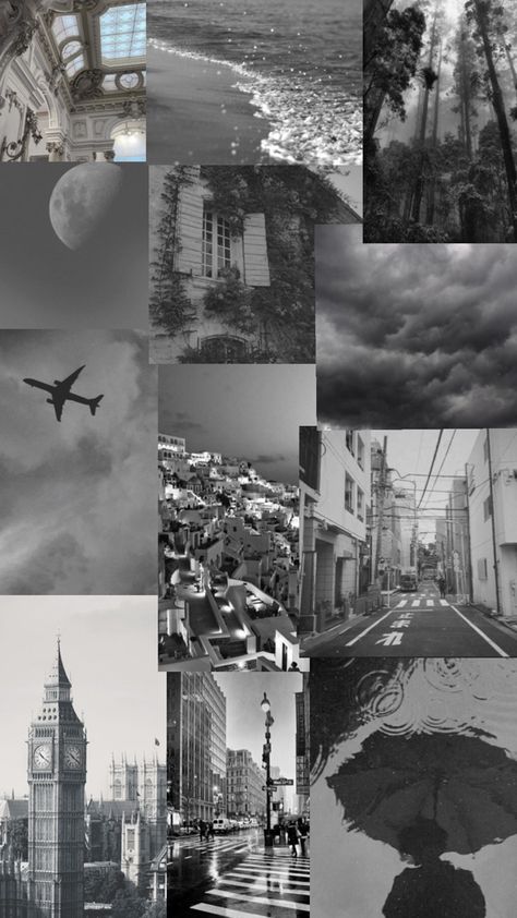 #collage #aesthetic #color #grey #gray #grayaesthetic #city #forests #viralpost #greyaesthetic Aesthetic Color, Gray Aesthetic, Color Inspo, Viral Post, Forest, Collage, Grey, Color