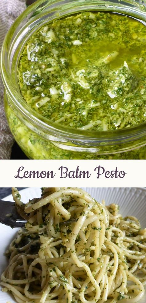 Fresh Lemon Balm Uses, Recipes Using Lemon Balm, Lemon Balm Lemonade, Things To Do With Lemon Balm, Lemon Balm Pesto Recipe, Lemon Balm Pesto, How To Dry Lemon Balm, Recipes With Lemon Balm, Lemon Balm Uses Recipes