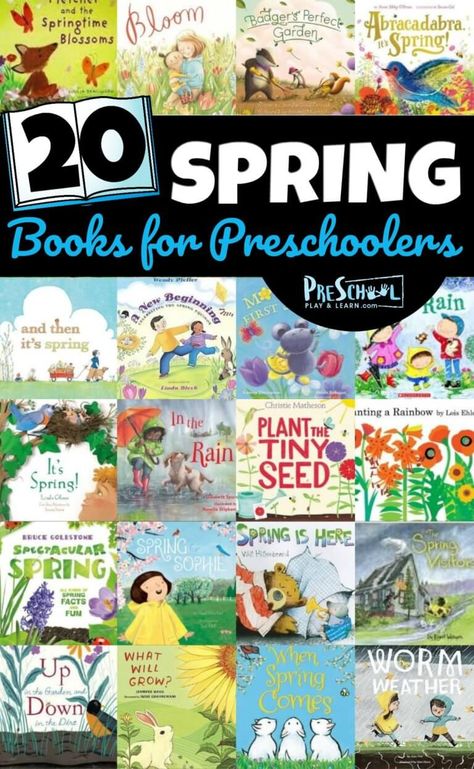 Look for the perfect Spring Books for Preschoolers? You will love all these delightful spring preschool books we've picked for you to celebrate springtime with toddler, preschool, pre-k, kindergarten, and first grade students. These books about spring for preschoolers are filled with spring animals, birds, flowers, rain, and lovely illustrations and catchy text. Which spring books preschool will you read first? Spring Read Alouds, Teaching Preschoolers, Books For Preschoolers, Preschool Sight Words, Homeschooling Preschool, Spring Reading, Preschool Reading, Preschool Homeschool, Spring Animals