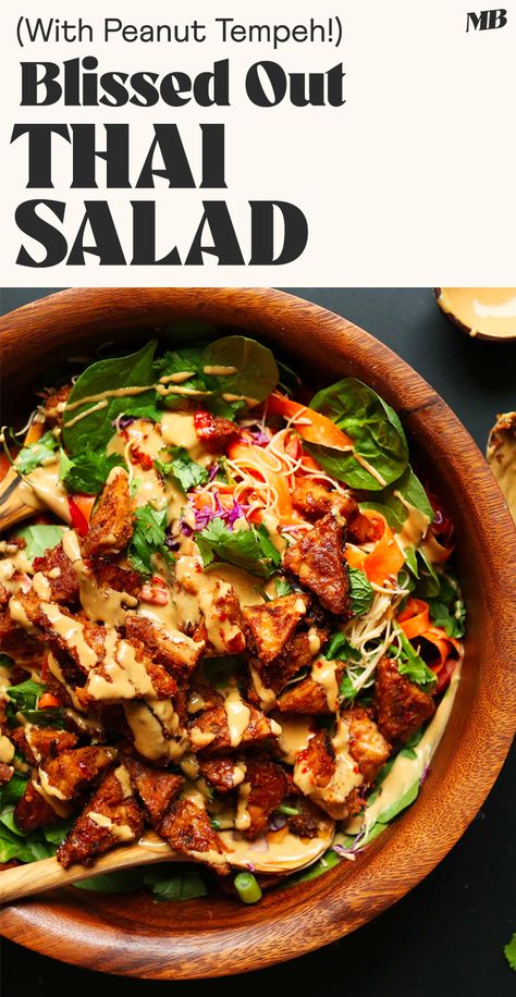 30-minute Thai- and Indonesian-inspired salad with rainbow veggies, noodles, and marinated peanut tempeh! Dress with peanut sauce for a flavorful, nourishing, plant-based meal! Peanut Tempeh, Salad With Veggies, Tempeh Salad, Rainbow Veggies, Veggie Dinners, Veggie Plate, Protein Vegetarian, Plant Based Diet Meal Plan, Thai Salad