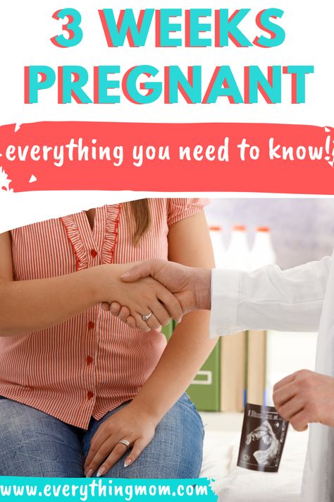 You are 3 weeks pregnant and perhaps you are finding out you are pregnant or looking for early pregnancy signs. We have everything you need to know right here! Three Weeks Pregnant, 3 Weeks Pregnant, 4 Weeks Pregnant, 11 Weeks Pregnant, 19 Weeks Pregnant, 6 Weeks Pregnant, 10 Weeks Pregnant, 13 Weeks Pregnant, 5 Weeks Pregnant