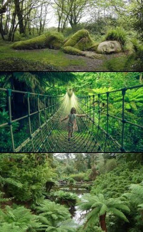 The Lost Gardens of Heligan in St Austell, Cornwall St Austell Cornwall, Lost Gardens Of Heligan, Lost Garden, Travel Bucket List, Cornwall, Beautiful Places, Lost, Holidays, Outdoor Decor