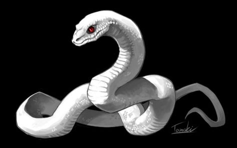 Anime Snake, Snake Illustration, Giant Snake, Snake Drawing, Cute Snake, Snake Art, White Snake, Mythical Creatures Art, 판타지 아트