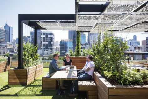 Australian Interior Design Awards Apartment Rooftop, Roof Garden Design, Australian Interior, Brutalist Buildings, Rooftop Terrace Design, Rooftop Design, Australian Interior Design, Jacuzzi Outdoor, Skyscraper Architecture