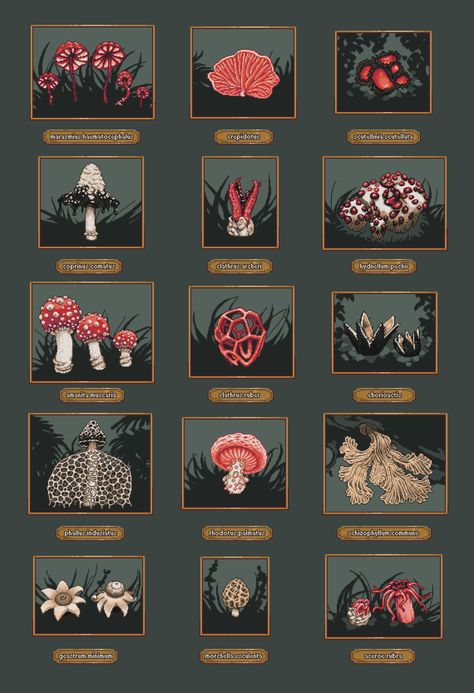 ink (commissions closed) on Twitter: "shroms #pixelart https://t.co/cusfliviZc" / Twitter Clathrus Ruber, Clathrus Archeri, Different Kinds Of Mushrooms, Schizophyllum Commune, Mushroom Types, Friends Icon, Making Friends, Talk To Me, Pixel Art