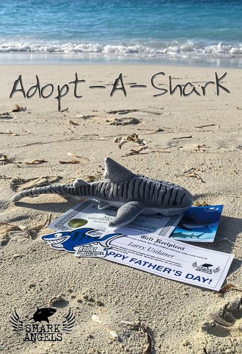 Sharks In Love, Sharks Cute, Shark Things, Vacation To Mexico, Shark Stuff, Natural Wonders Of The World, Plan A Vacation, Save The Sharks, Shark Pictures