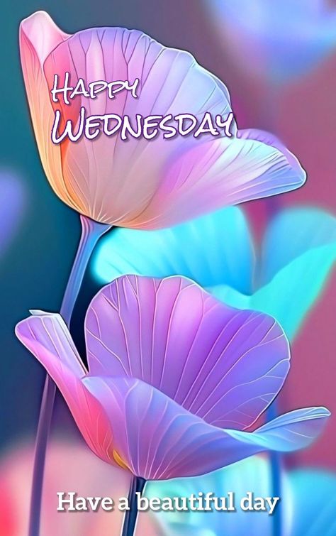 Wednesday Flowers, Wednesday Morning Images, Wednesday Gifts, Happy Wednesday Images, Happy Teddy Day Images, Wednesday Morning Quotes, Teddy Day Images, Happy Teddy Day, Morning Sayings