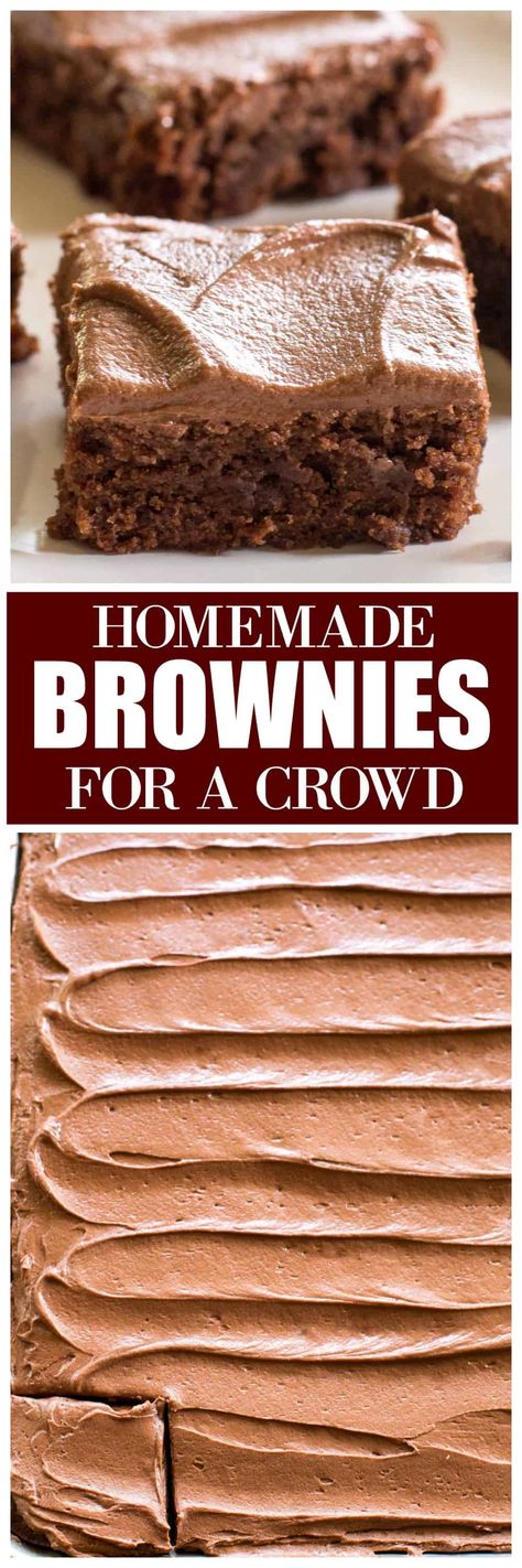 These are Homemade Brownies for a Crowd made in a jelly roll pan (12 x17) so that they feed an army. Melt in your mouth, chocolate fudgy brownies with a rich chocolate frosting on top! #homemade #brownies #recipe #chocolate #dessert Brownies For A Crowd, Homemade Brownies Recipe, The Girl Who Ate Everything, Tiramisu Dessert, Homemade Brownies, Jelly Roll Pan, Brownies Recipe, Chocolate Dessert, Köstliche Desserts