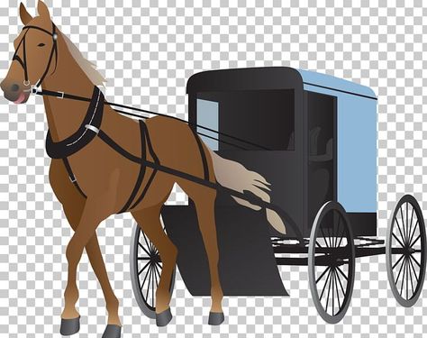 Horse With Carriage, Printable Drawings, Carriage Horse, Horse Transport, 3d Animals, Horse And Carriage, Horse And Buggy, Horse Bridle, Horse Carriage