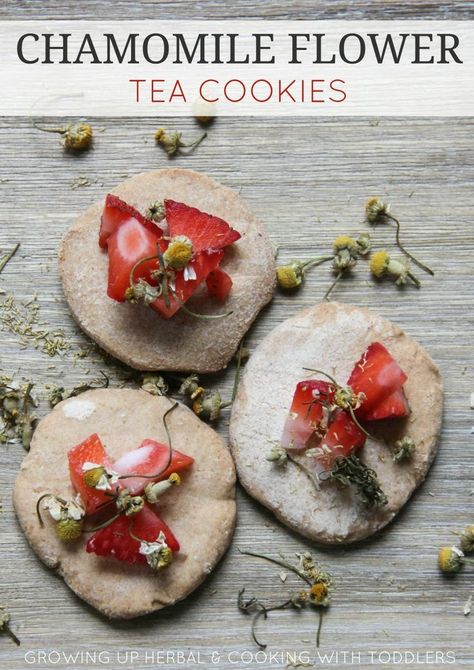 CHAMOMILE FLOWER TEA COOKIES Herbal Desserts, Herbal Cookies, Herbal Baking, Advent Recipes, Tea Cookies Recipe, Infused Treats, Infused Tea, Cooking With Toddlers, Chamomile Flower