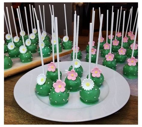 Taco Themed Cake Pops, Llama Cake Pops, Taco Bout A Bridal Shower Ideas, Taco Bout A Baby Shower Ideas Girl, Mexican Themed Desserts Sweet Treats, Taco Baby Gender Reveal, Llama Themed Baby Shower Ideas, Taco About A Baby Cake, Cactus Gender Reveal Party